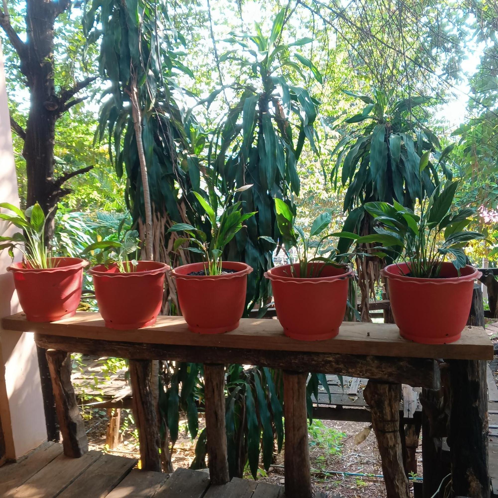 Familyhouse & Trekking Apartamento Banlung Quarto foto